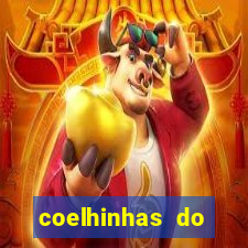 coelhinhas do brasil jp